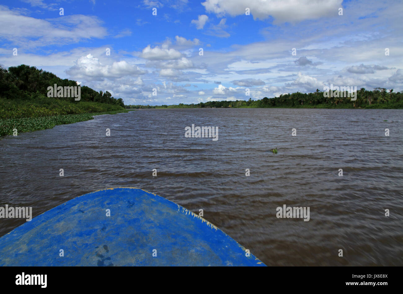 Fleuve d'Orinoco, Venezuela Banque D'Images