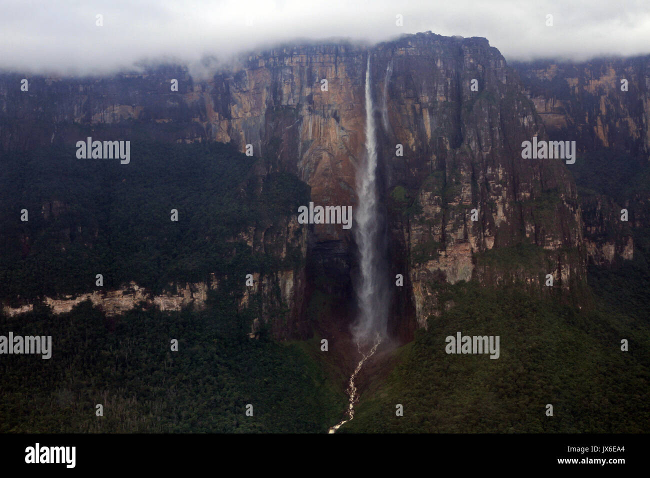 National canaima Banque de photographies et d’images à haute résolution ...