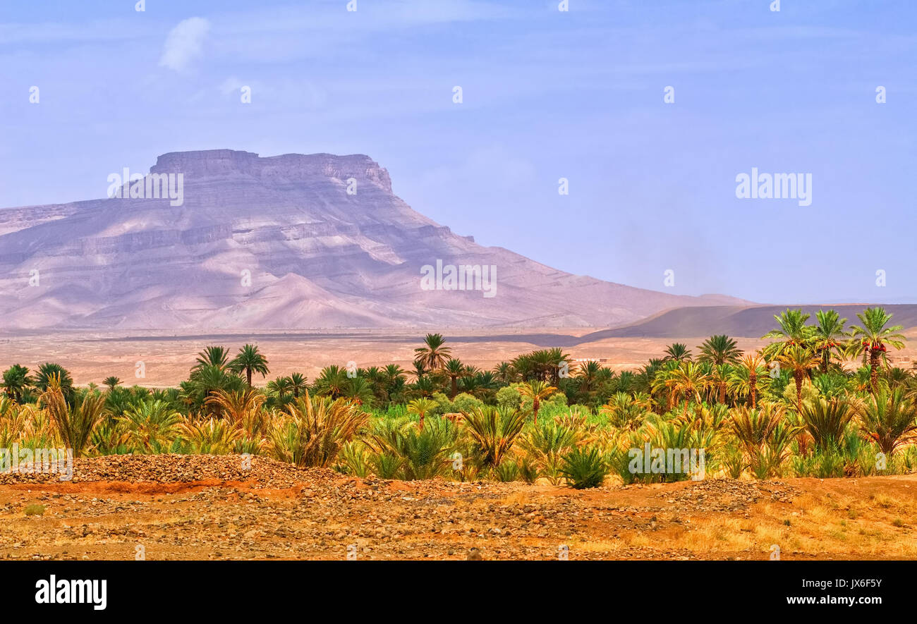 Table Mountain et de dattiers dans les oasis du paysage dans la vallée du Draa, Maroc Banque D'Images