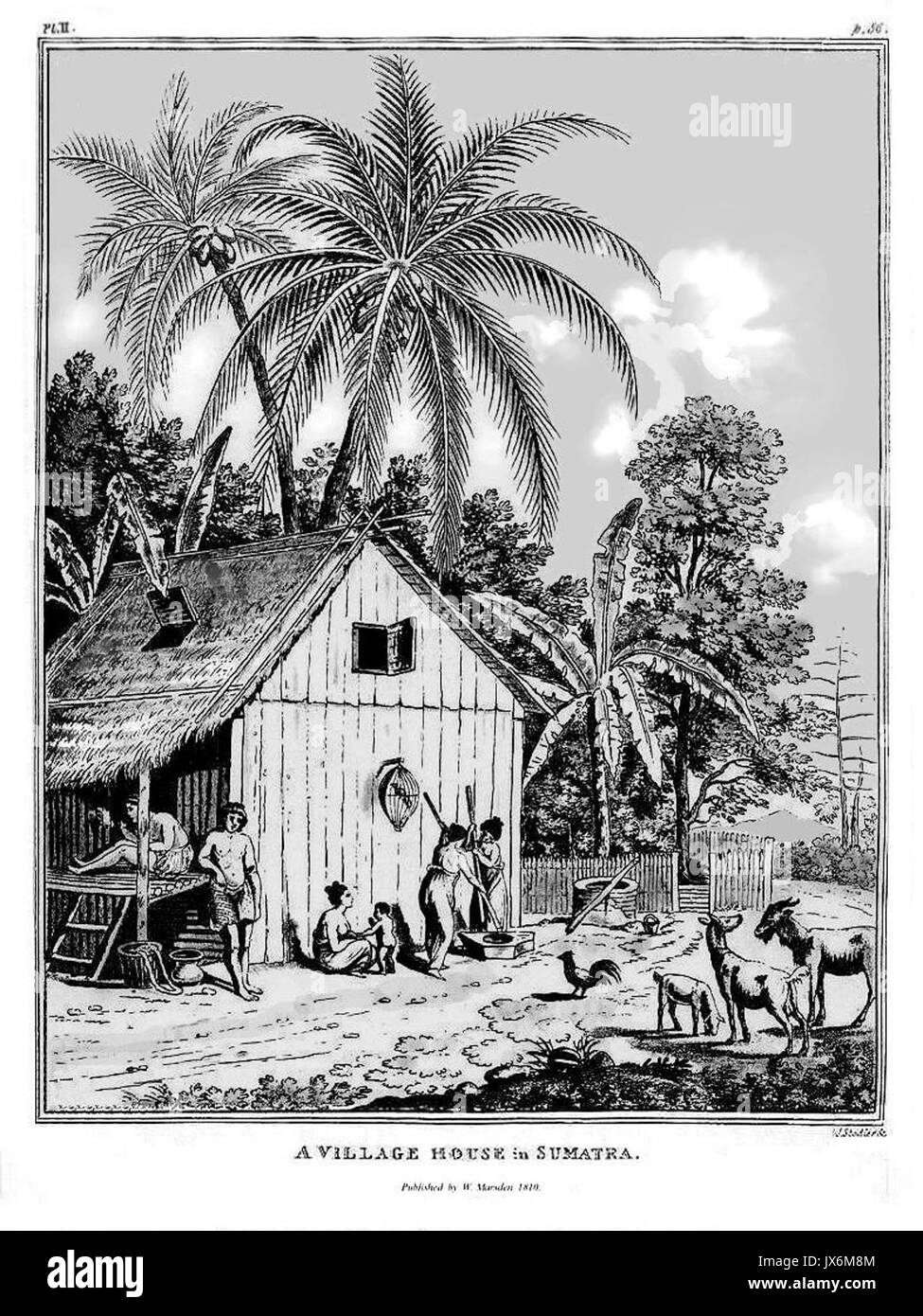 Marsden PL II une maison de village à Sumatra Banque D'Images