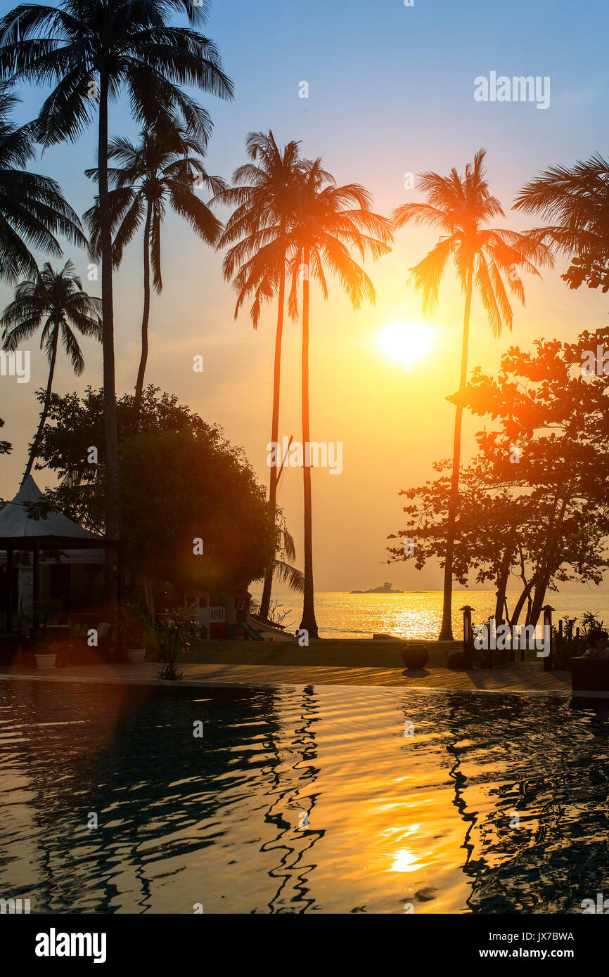 Silhouettes de palmiers sur une plage tropicale durant incroyable coucher du soleil. Banque D'Images