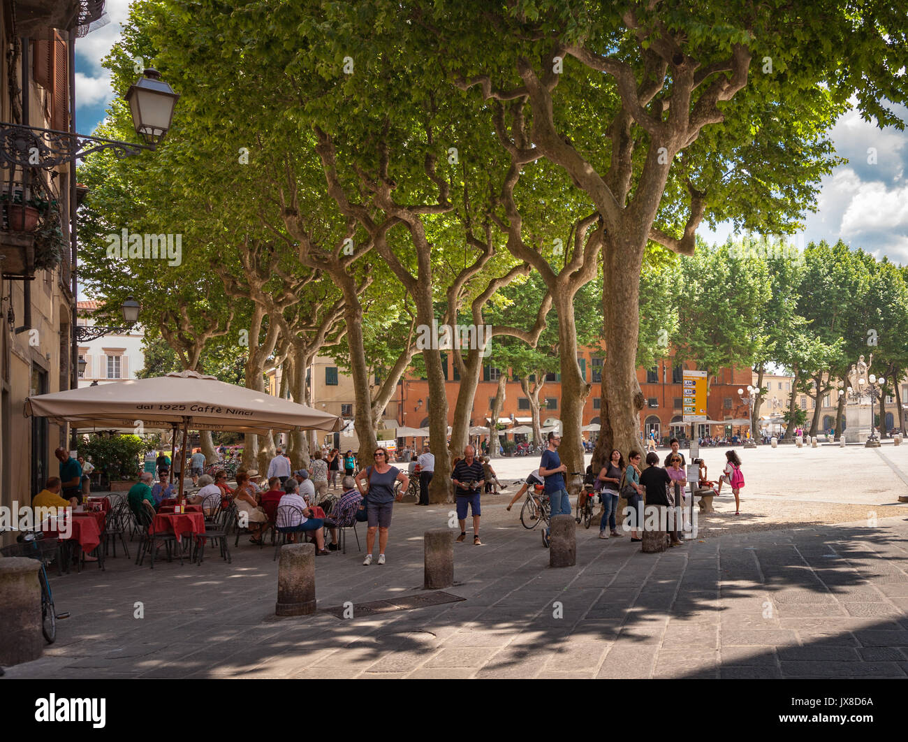 Les gens de vous détendre à l'ombre des platanes sur la Piazza Napoleone d'une petite ville italienne Lucca en Italie Banque D'Images