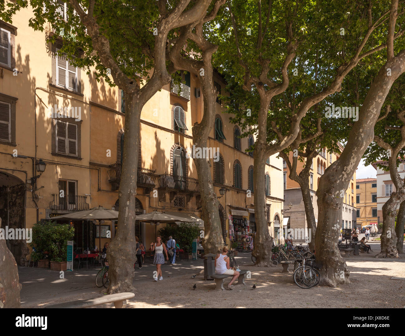 Les gens de vous détendre à l'ombre des platanes sur la Piazza Napoleone d'une petite ville italienne Lucca en Italie Banque D'Images