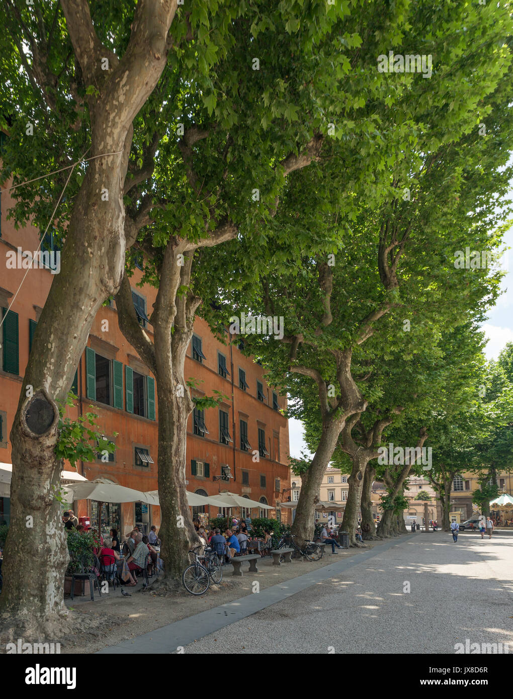 Les gens de vous détendre à l'ombre des platanes sur la Piazza Napoleone d'une petite ville italienne Lucca en Italie Banque D'Images