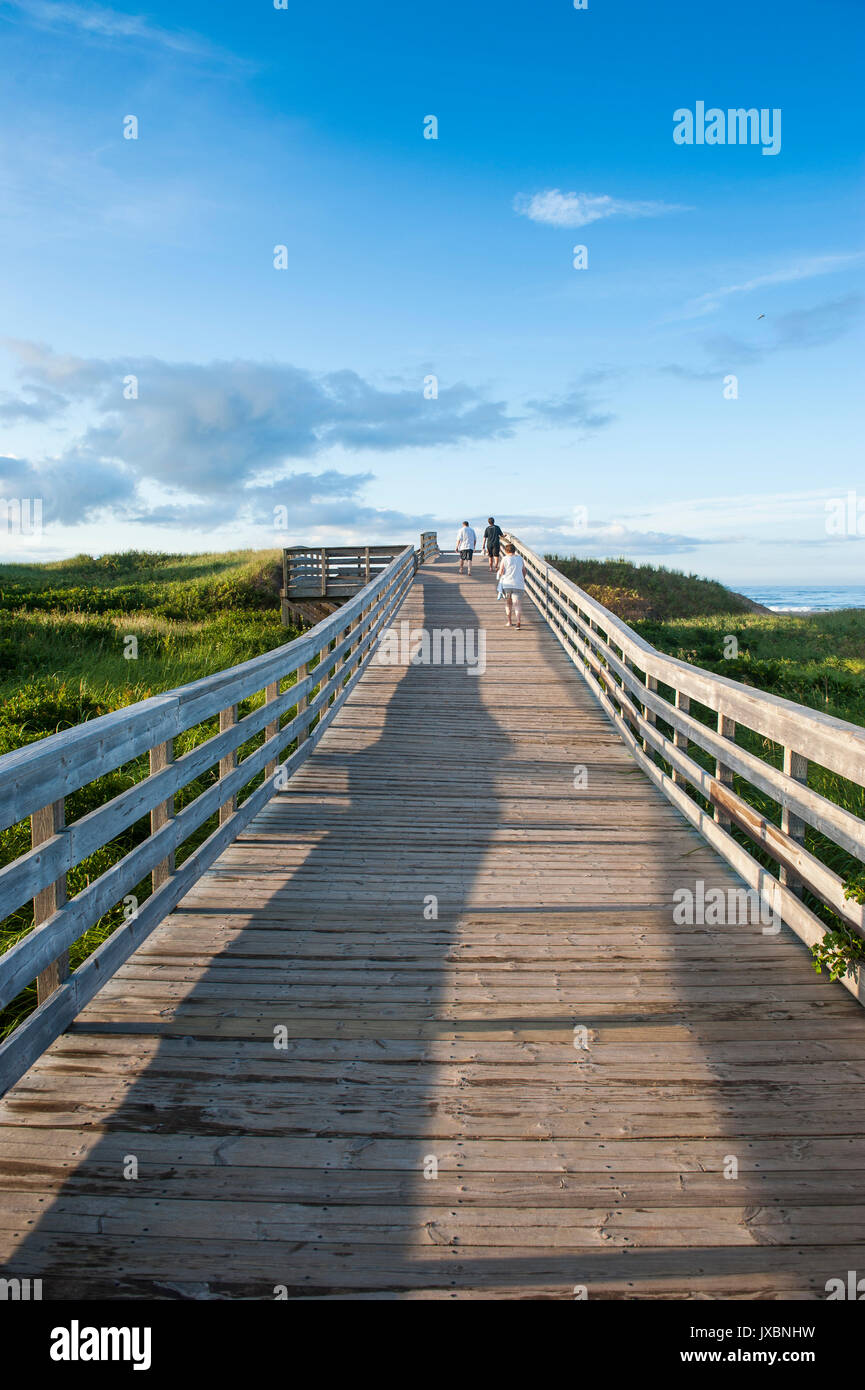 Jetée en bois menant à la plage du Parc, Prince Edward Island, Canada Banque D'Images