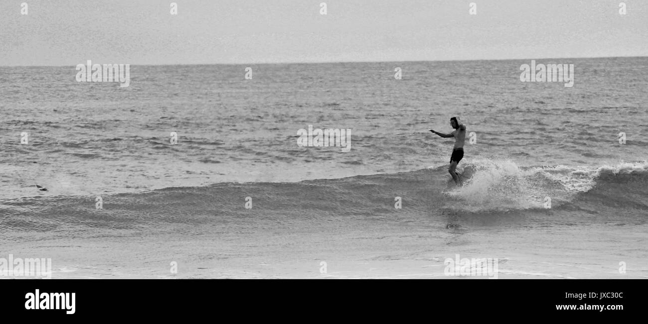 Rencontrez le couple aventureux qui ont emballé leurs vie dans un petit van pour qu'ils puissent voyager et surfer quand ils aiment. Des images incroyables et vidéo fo Banque D'Images