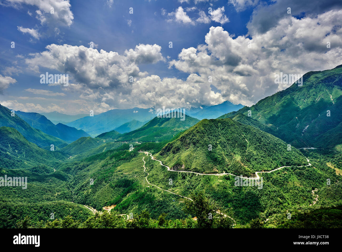 Champs de riz vert dans les montagnes du vietnam Banque D'Images