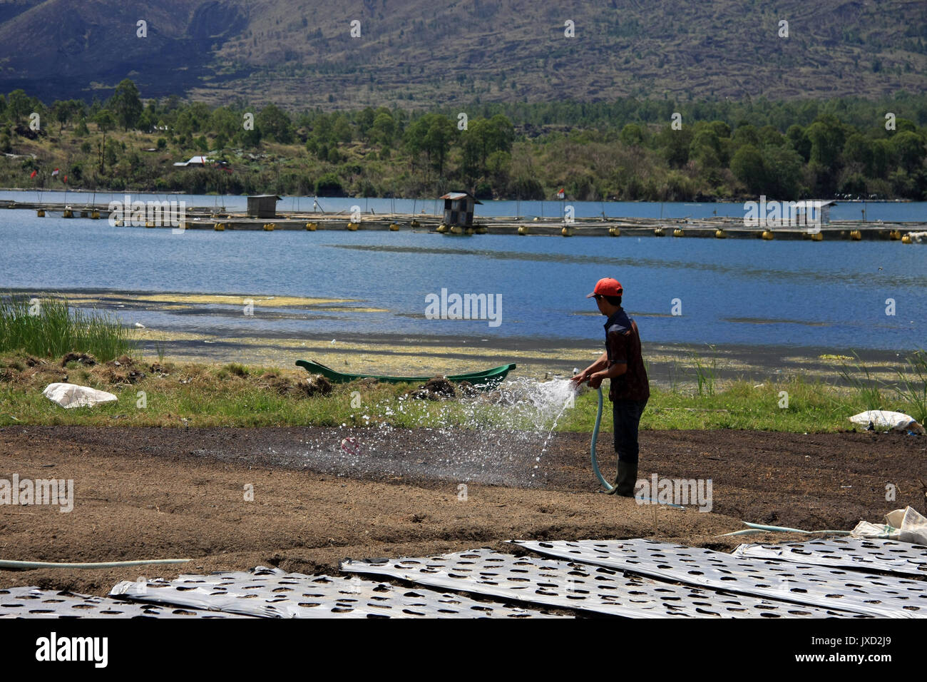 Farmer watering balinais terrain avec lac en arrière-plan Banque D'Images
