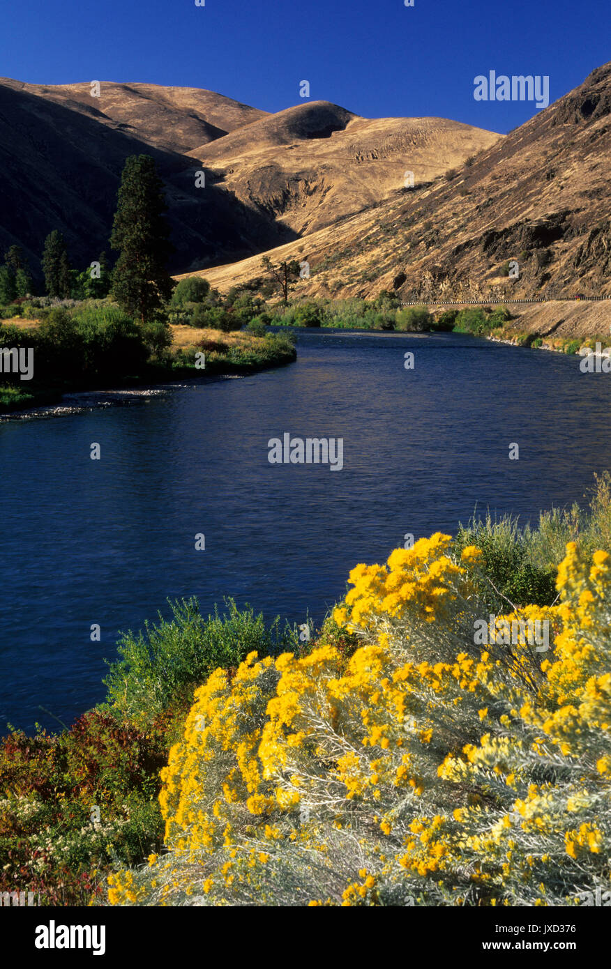 La rivière Yakima, Yakima River Canyon Scenic et Loisirs de l'Autoroute, Washington Banque D'Images