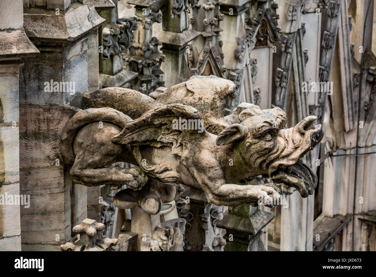 Détail architectural - gargouille de la cathédrale de Milan - Duomo di Milano, Italie Banque D'Images