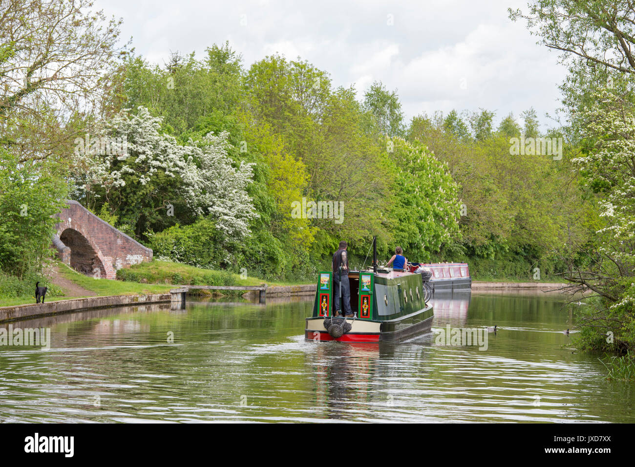 Le Grand Union canal près de Kingswood Junction, Lapworth, Warwickshire, Angleterre, Royaume-Uni Banque D'Images