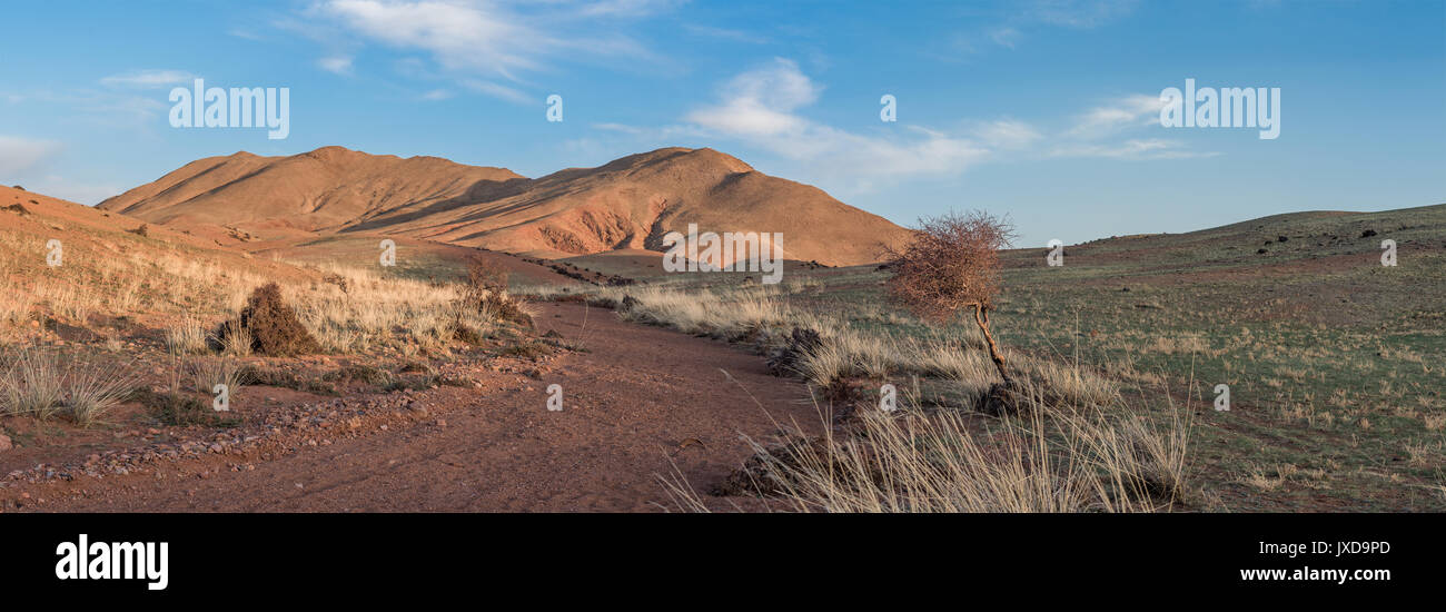 Route entre prairies menant aux dunes de sable de sunny day Banque D'Images
