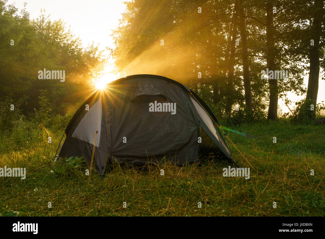 Les tentes de camping sur une rivière au lever du soleil. Les touristes en forêt Banque D'Images