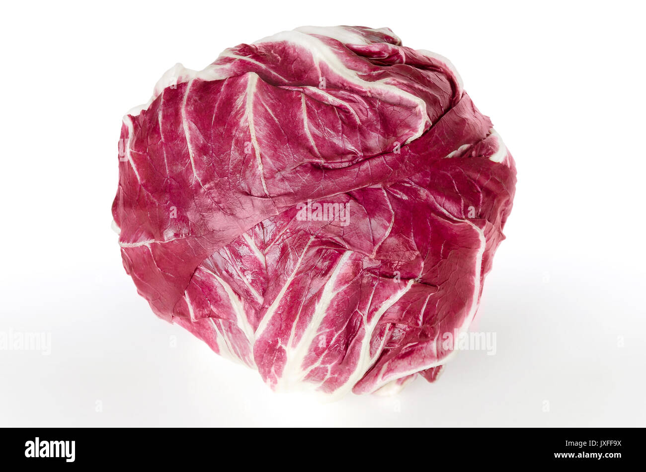 Le radicchio vue avant sur le blanc. Chicorée italienne. Cultivée sous forme de tableaux, de chicorée Cichorium intybus. Légumes feuilles feuilles rouge veiné de blanc. Banque D'Images