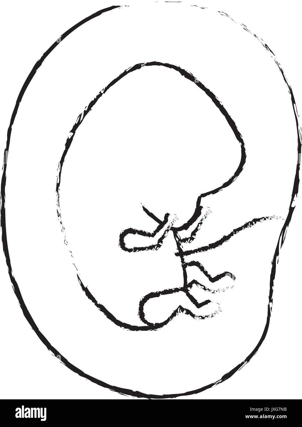 Silhouette floue monochrome vue du côté de l'embryon humain dans la croissance du fœtus placenta Illustration de Vecteur