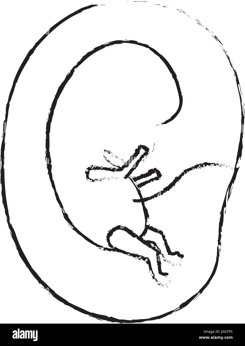 Silhouette floue monochrome vue du côté de la croissance du fœtus dans le placenta Illustration de Vecteur