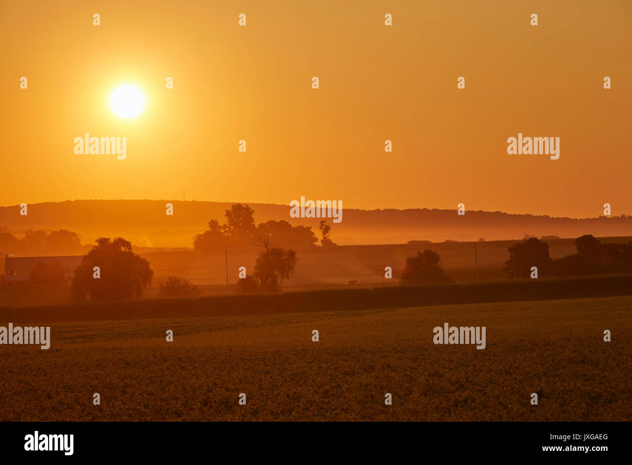 Lever du soleil d'été en pays Amish, Bird In Hand, comté de Lancaster, Pennsylvanie, USA Banque D'Images