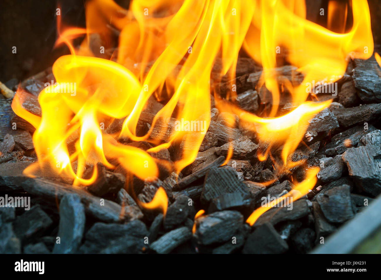 Photo de brûler dans l'arbre d'incendie Banque D'Images