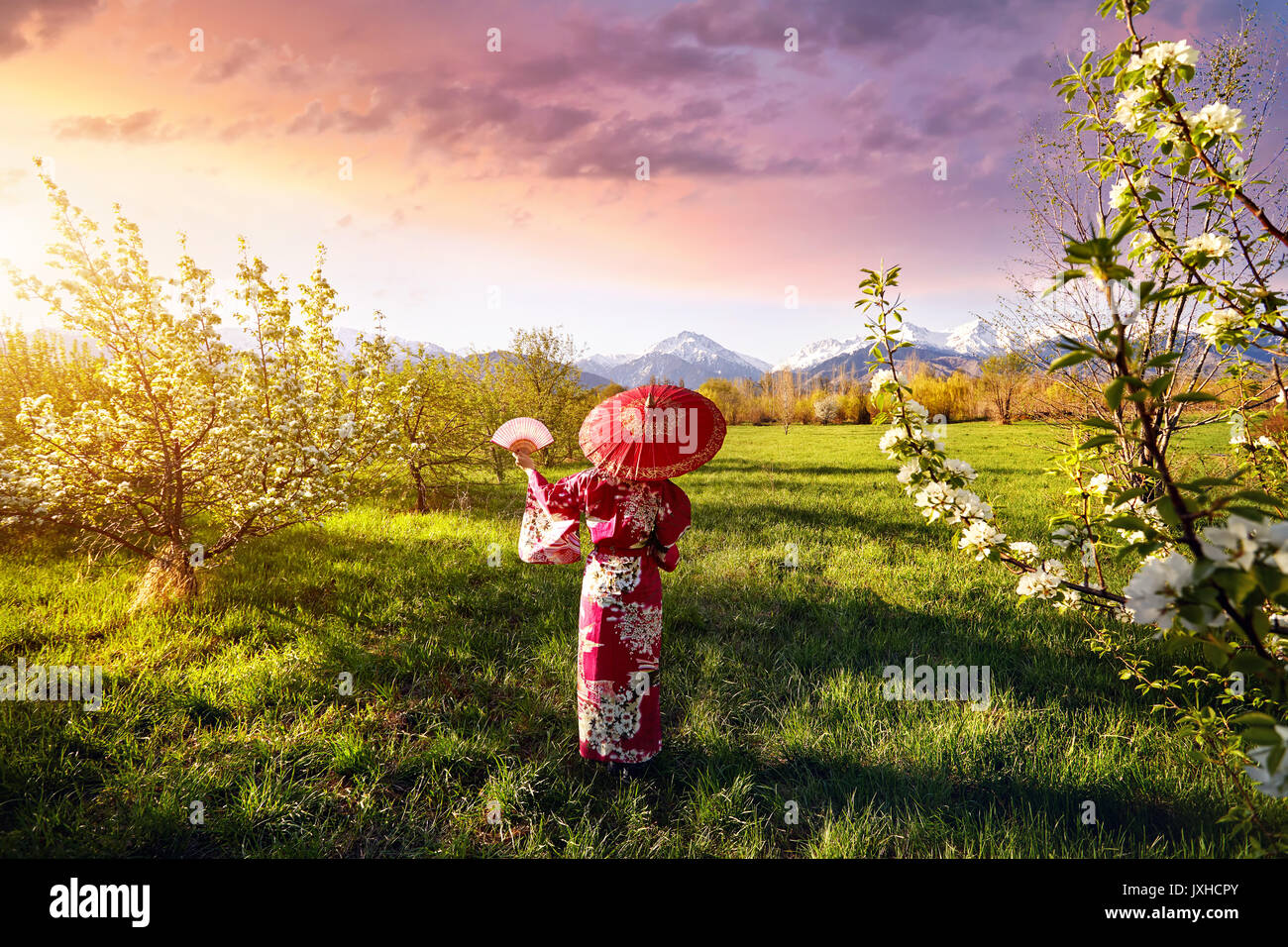 Femme en kimono avec parapluie rouge dans le jardin avec fleur de cerisier au fond de ciel mauve et la montagne Banque D'Images