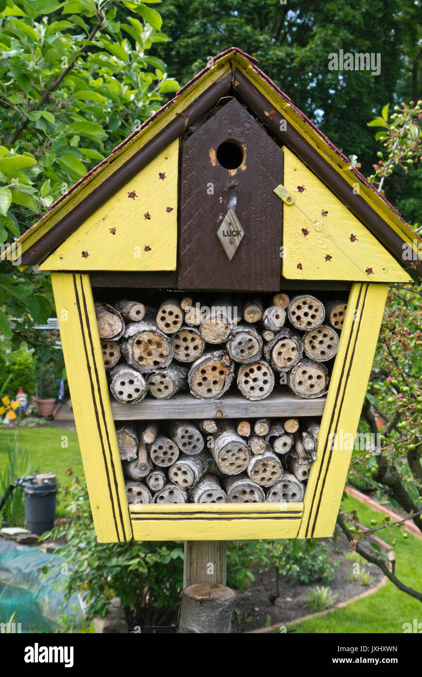 maison d’insectes Banque D'Images