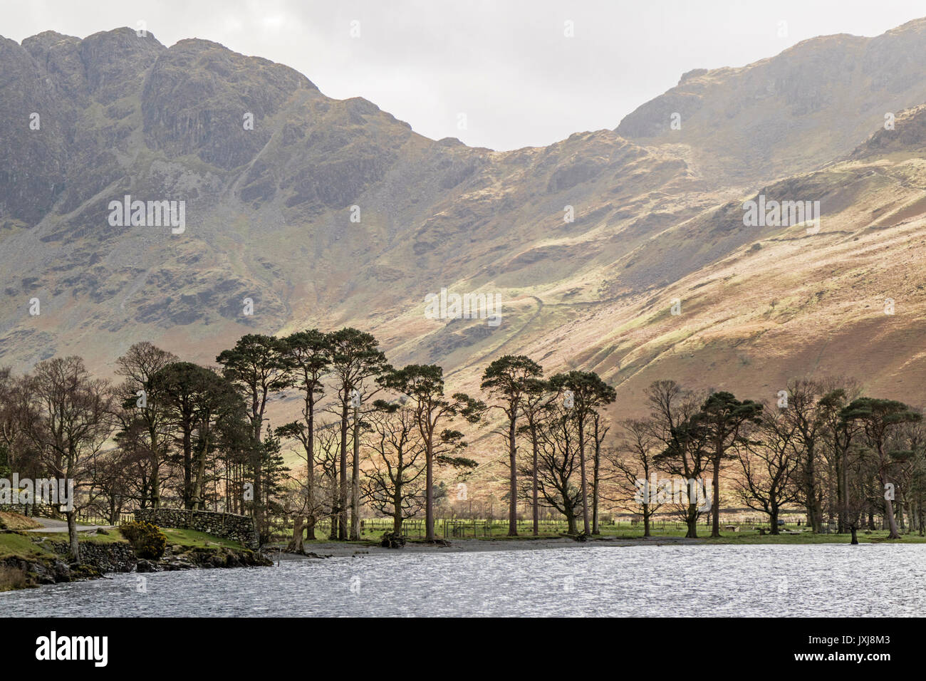 Buttermere Lake, Parc National de Lake District, Cumbria, England, UK Banque D'Images