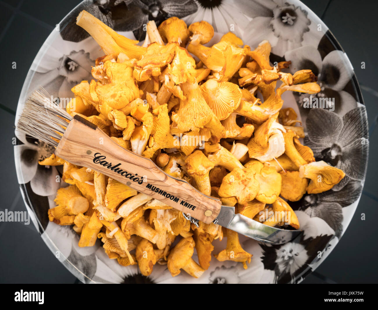 Une assiette de champignons girolles fraîchement cueillies avec un couteau champignons prête pour la cuisson Banque D'Images