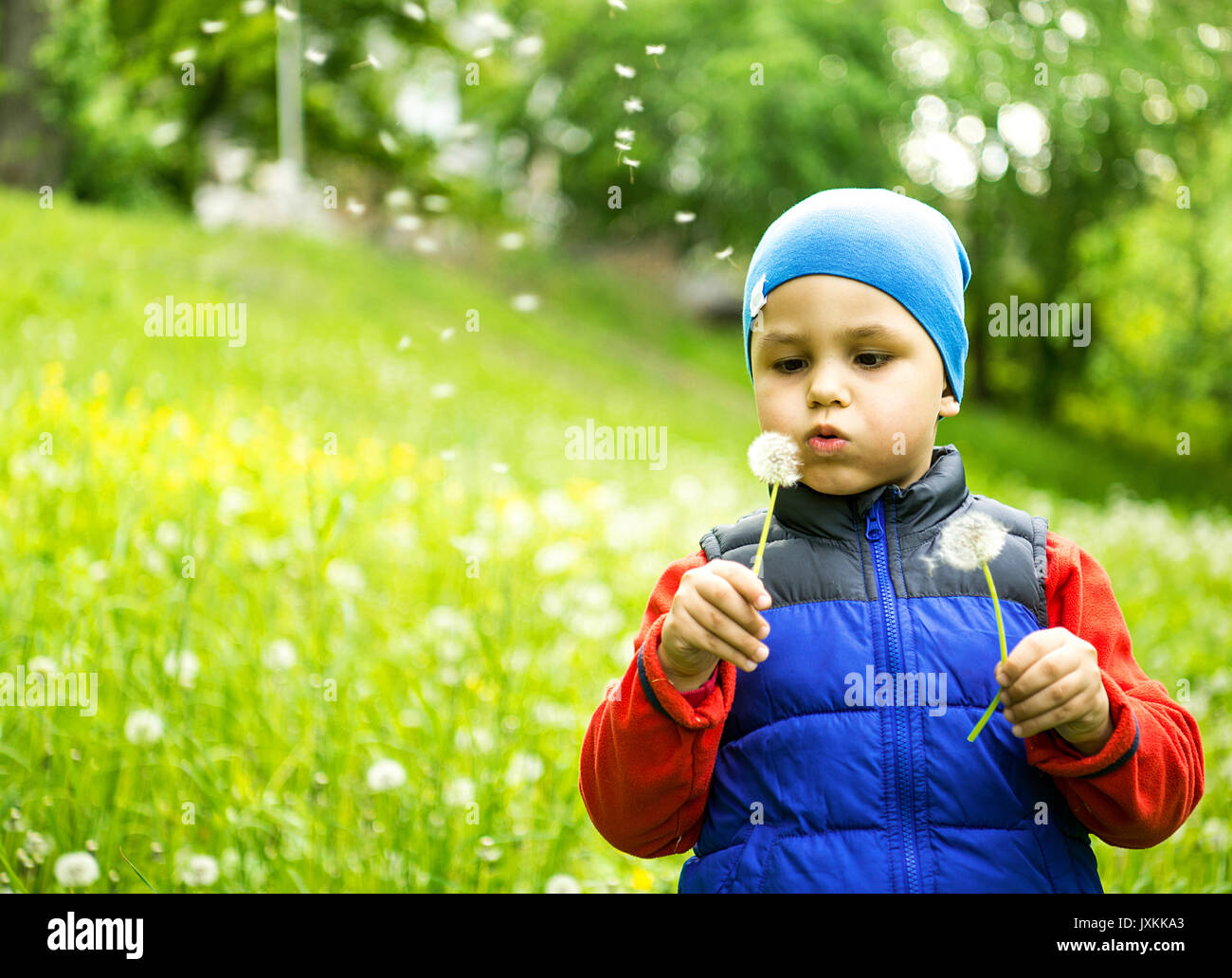 Petit garçon 4 - 5 ans de jouer en plein air, sur l'arrière-plan. Jeune garçon assis dans le champ soufflant le pissenlit. Une personne, de race blanche. blanc. Banque D'Images