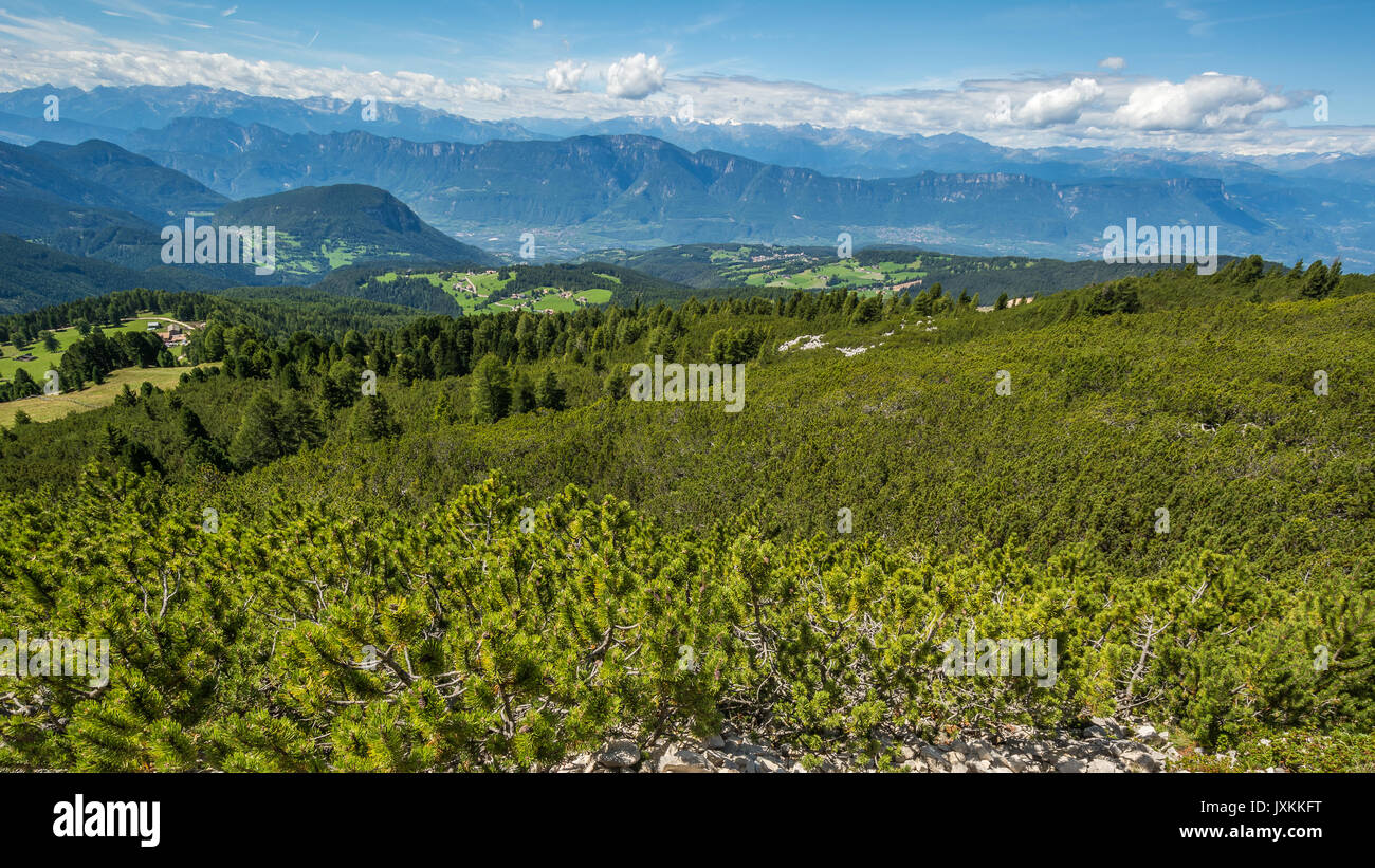 Montagnes paysage étonnant d'été dans les Dolomites Tyrol du Sud, Italie,. Le passage Oclini, au nord de l'Italie. Banque D'Images