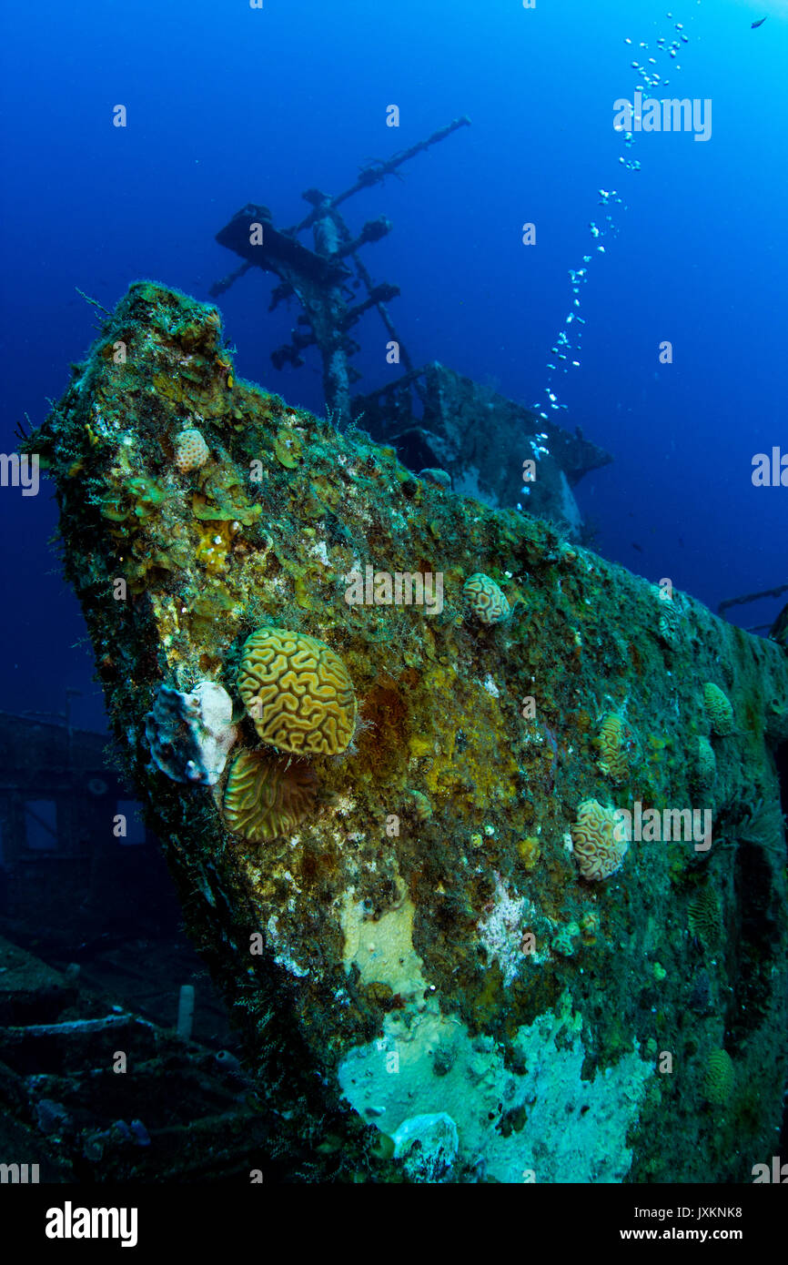 Photographie sous-marine : naufrage à Roatan Banque D'Images