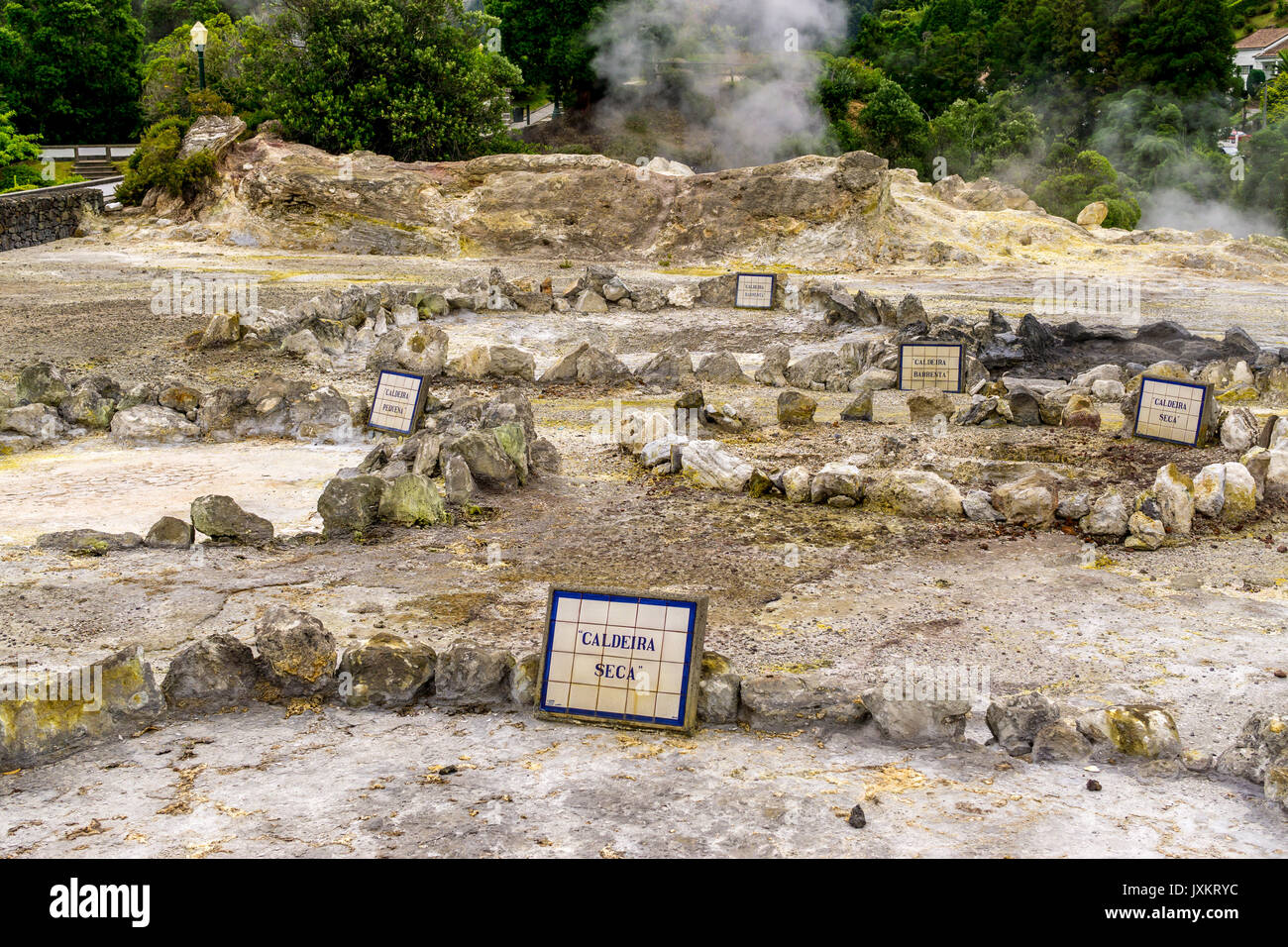 Caldeira Seca, Furnas. Les sources chaudes et les fumerolles dans le centre-ville de Furnas, Sao Miguel, Açores. Banque D'Images