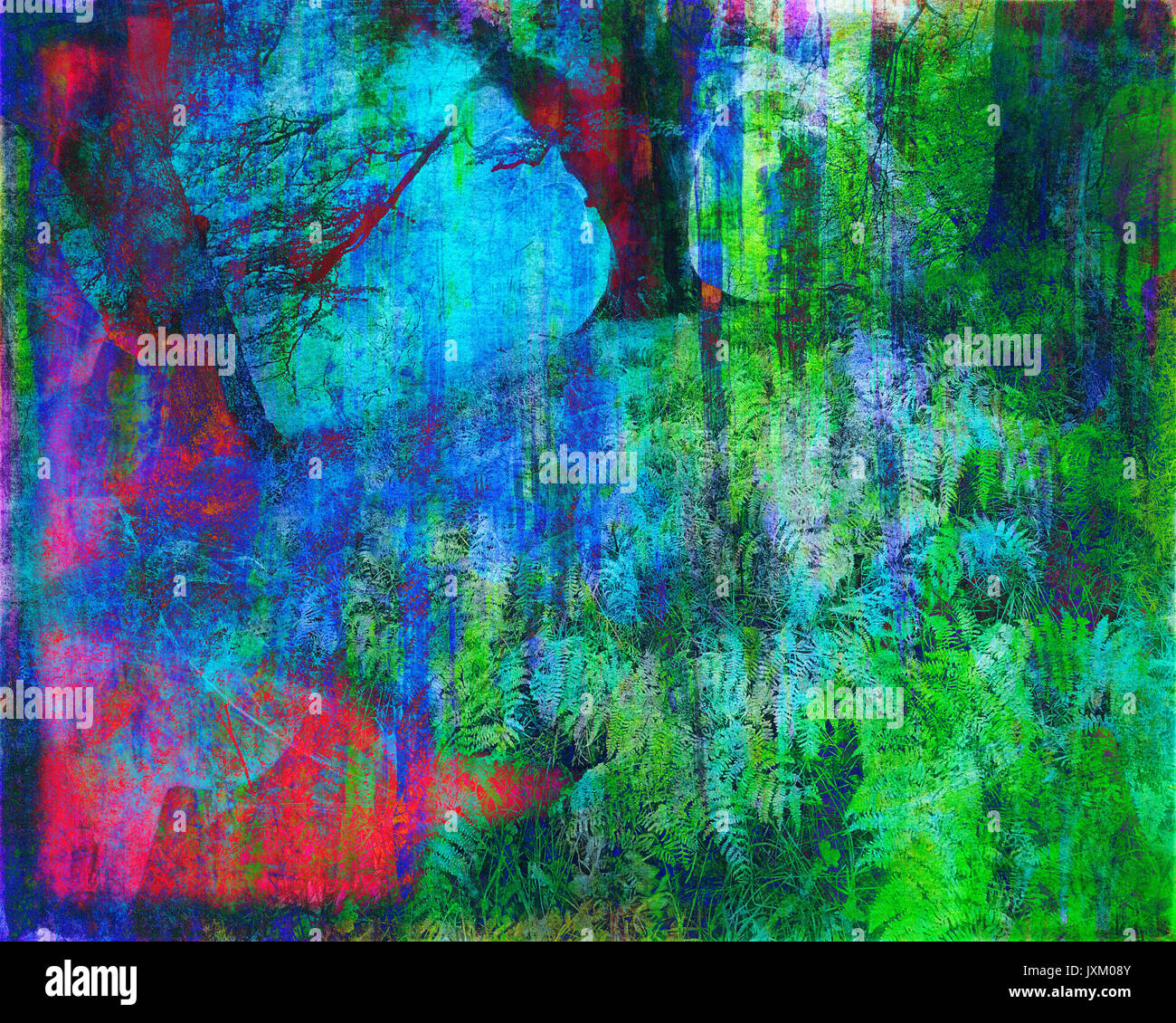 L'ART NUMÉRIQUE : Magie de la forêt Banque D'Images