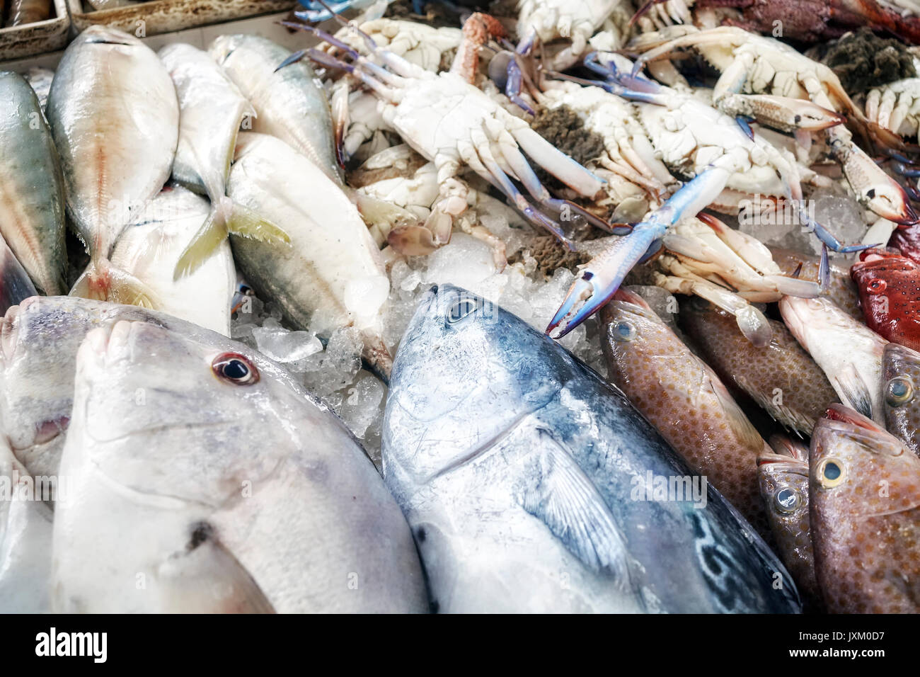 Des fruits de mer au marché aux poissons, faible profondeur de champ. Banque D'Images