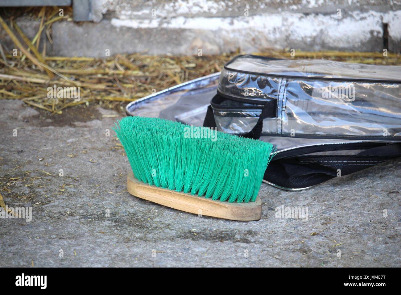 Brosse et accessoire pour prendre soin du cheval Banque D'Images