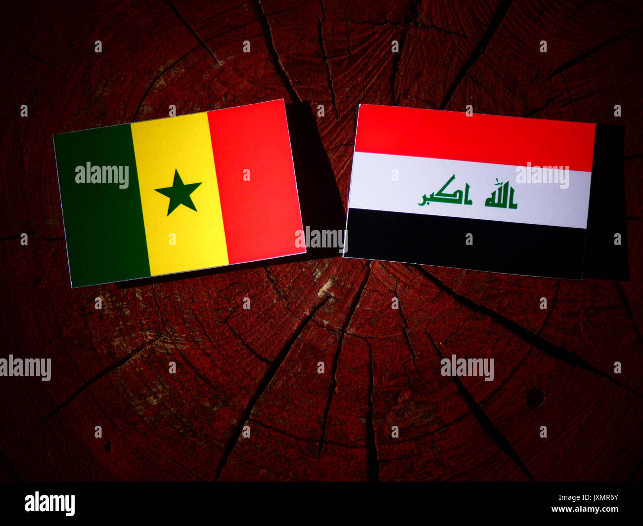 Le Sénégal avec drapeau drapeau iraquien sur une souche isolée Banque D'Images