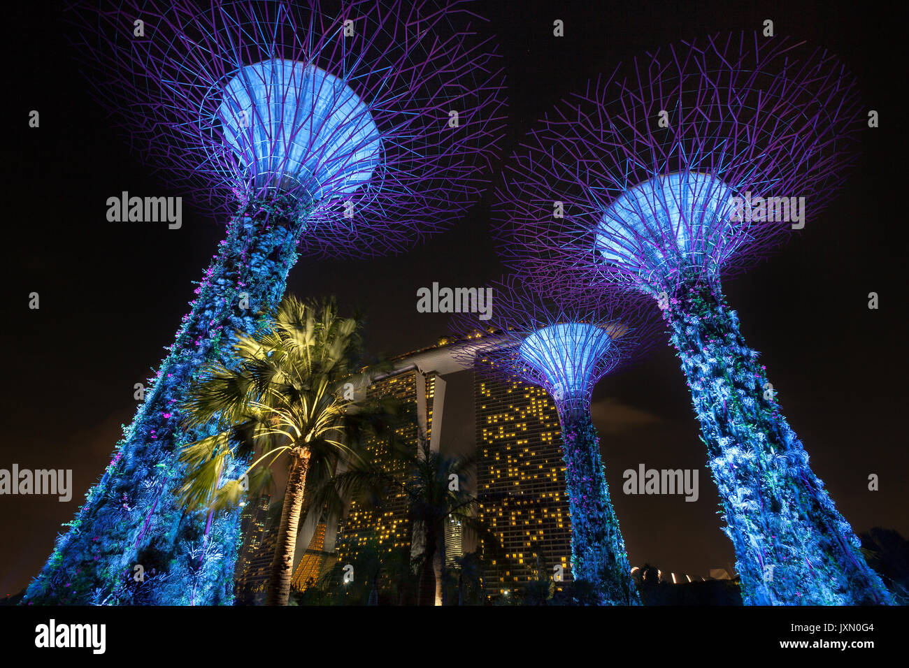 Vers le haut la vue perspective de jardins à supertrees by the Bay, Singapour Banque D'Images
