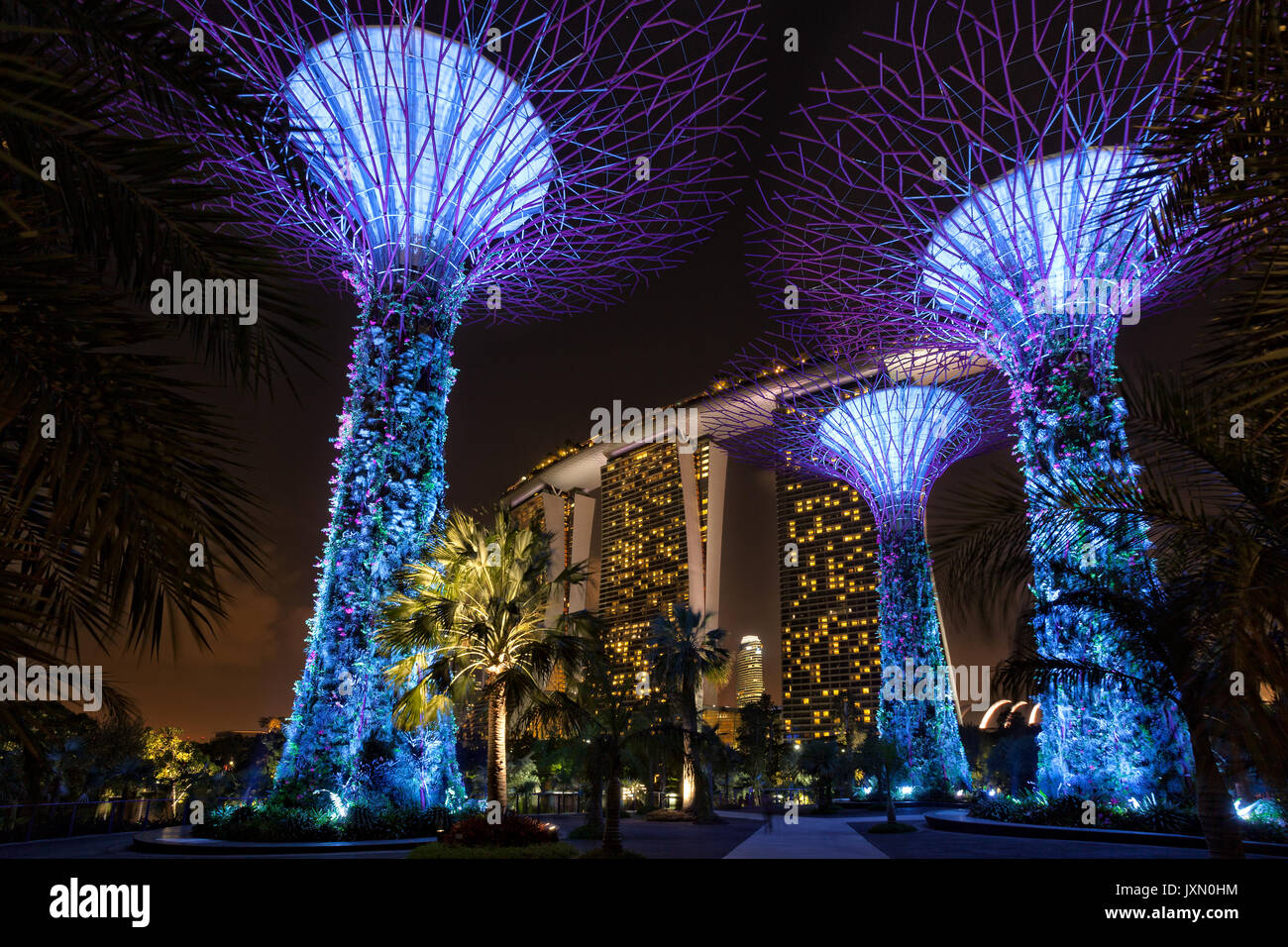 Supertrees futuriste dans les jardins de par la baie park avec Marina Bay Sands à Singapour, l'arrière-plan Banque D'Images