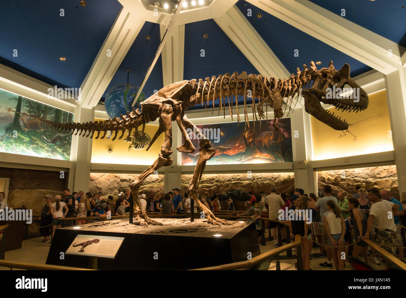 L'intérieur de la zone d'attente du dinosaure monter dans Animal Kingdom, parc à thème walt disney World, Orlando, Floride. Banque D'Images