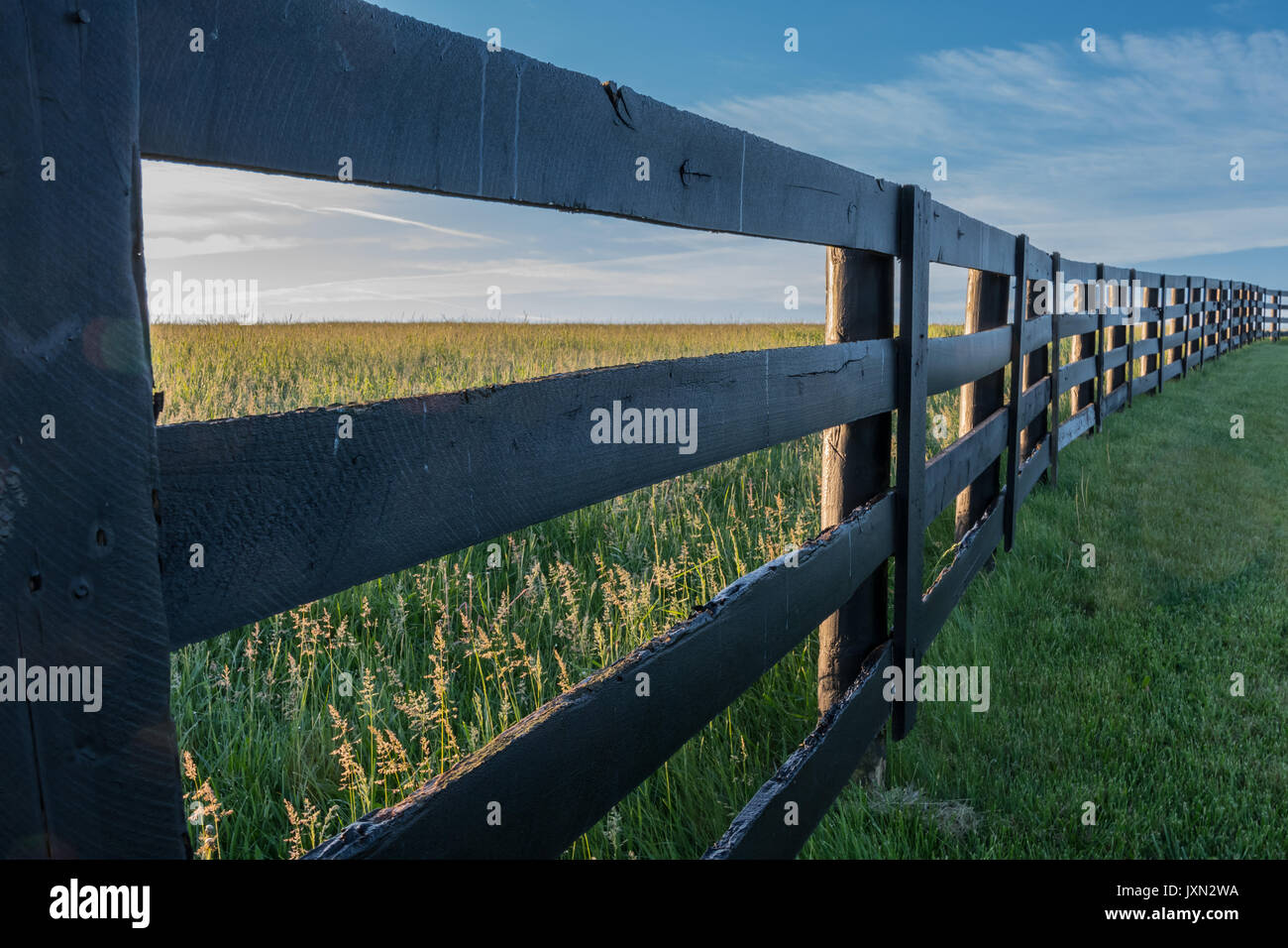 Vue d'angle de l'Horse Farm Fence en été Banque D'Images