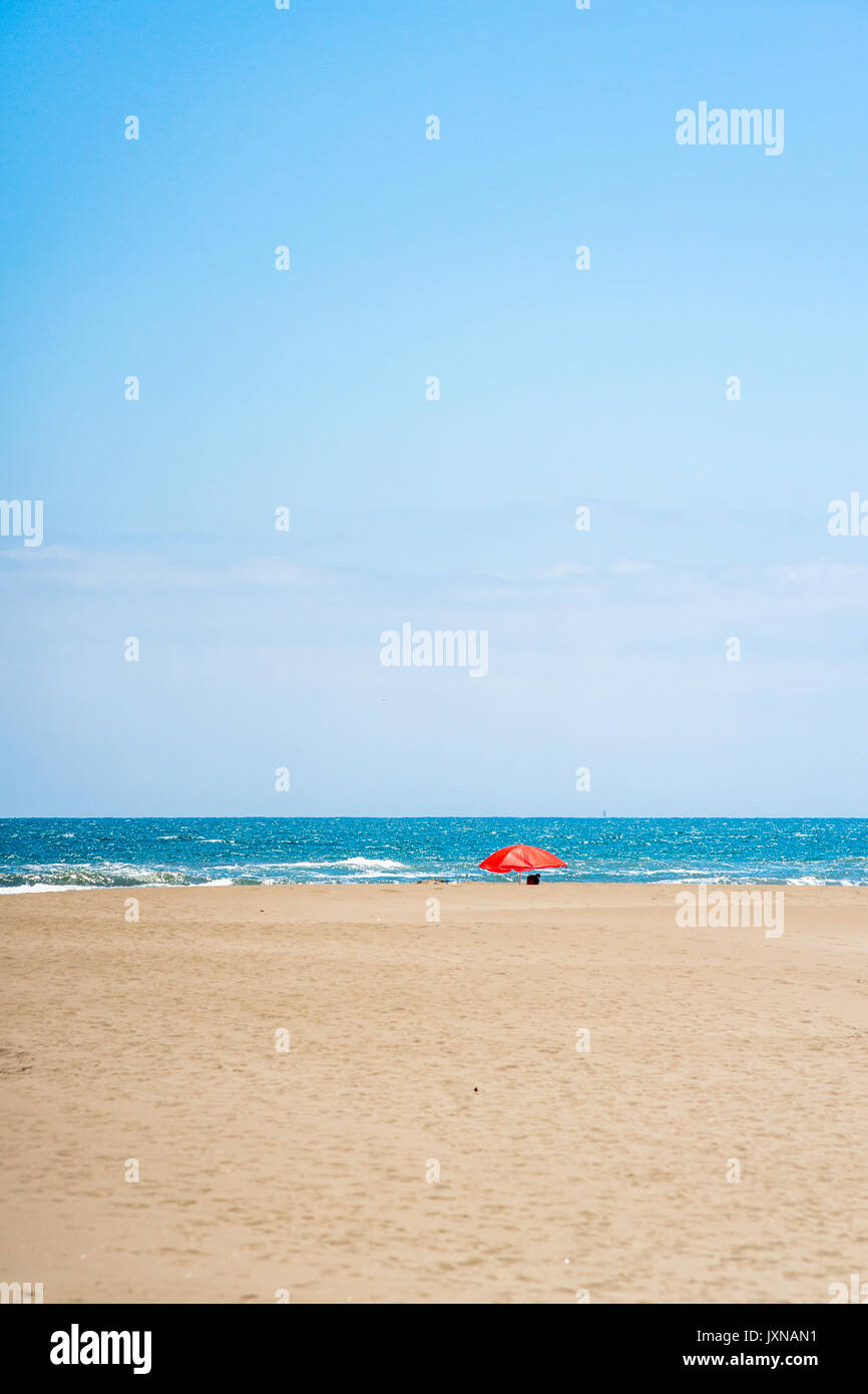 Eucaliptus beach, delta de l'Ebre, Espagne 2017 Banque D'Images