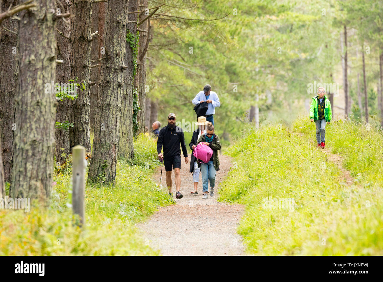 Journée en famille à marcher le long des sentiers forestiers à la célèbre forêt Newborough, Anglesey, Pays de Galles, Royaume-Uni en été Banque D'Images