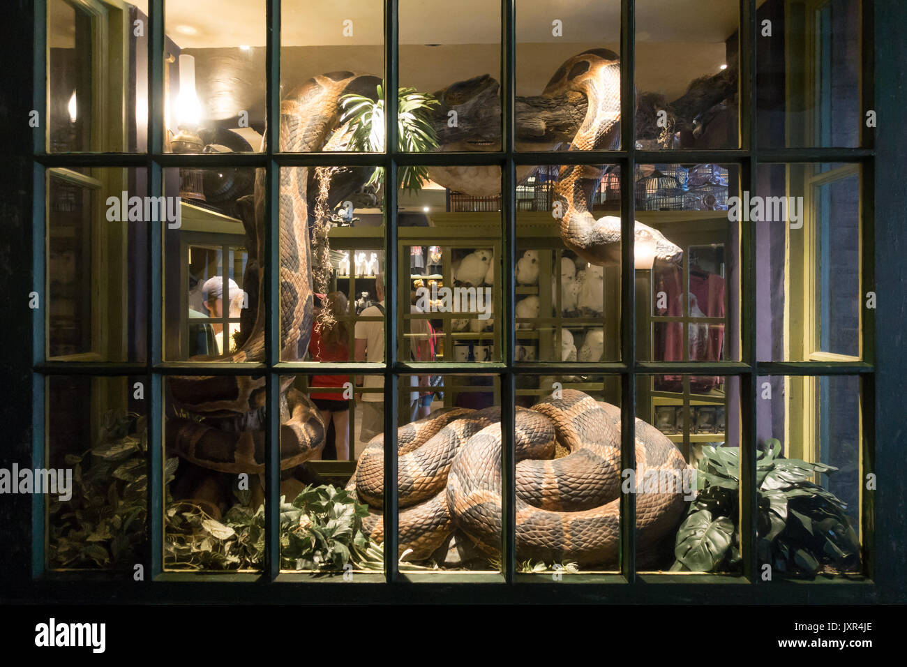 Ménagerie magique vitrine dans le chemin de traverse, wizarding world