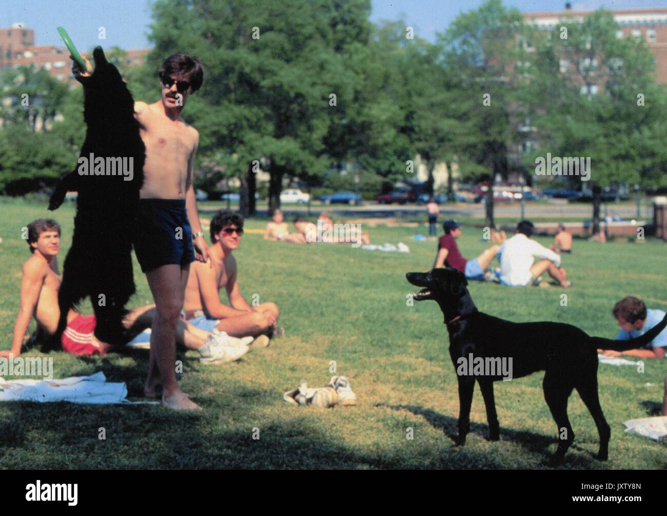 La vie étudiante les étudiants en train de bronzer sur la plage, 1985. Banque D'Images