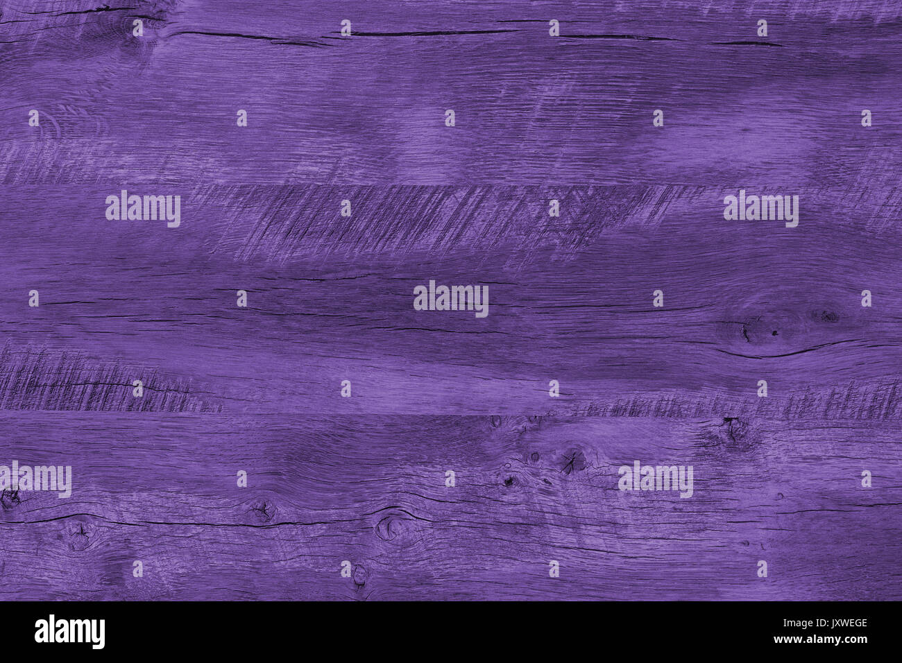 Bois violet texture pattern Banque D'Images