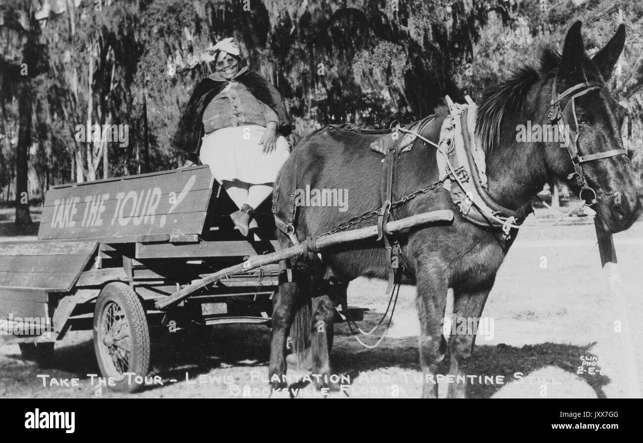 Portrait complet d'une femme afro-américaine assise sur un chariot avec un panneau qui indique « Prenez le Tour », tiré par un cheval sombre, la femme portant une robe blanche, avec une expression faciale souriante, sur la plantation Lewis à Brooksville, Floride, 1929. Banque D'Images