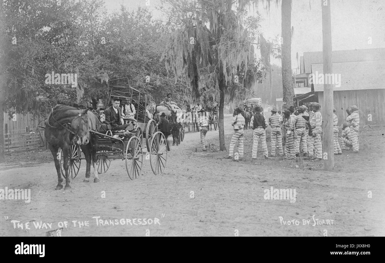 Un groupe de travailleurs américains africains en uniforme de prison rayé se trouve près d'une route de terre, sur laquelle des hommes blancs vêtus de toute leur forme conduisent des wagons à cheval dans une ville rurale américaine, 1908. Banque D'Images