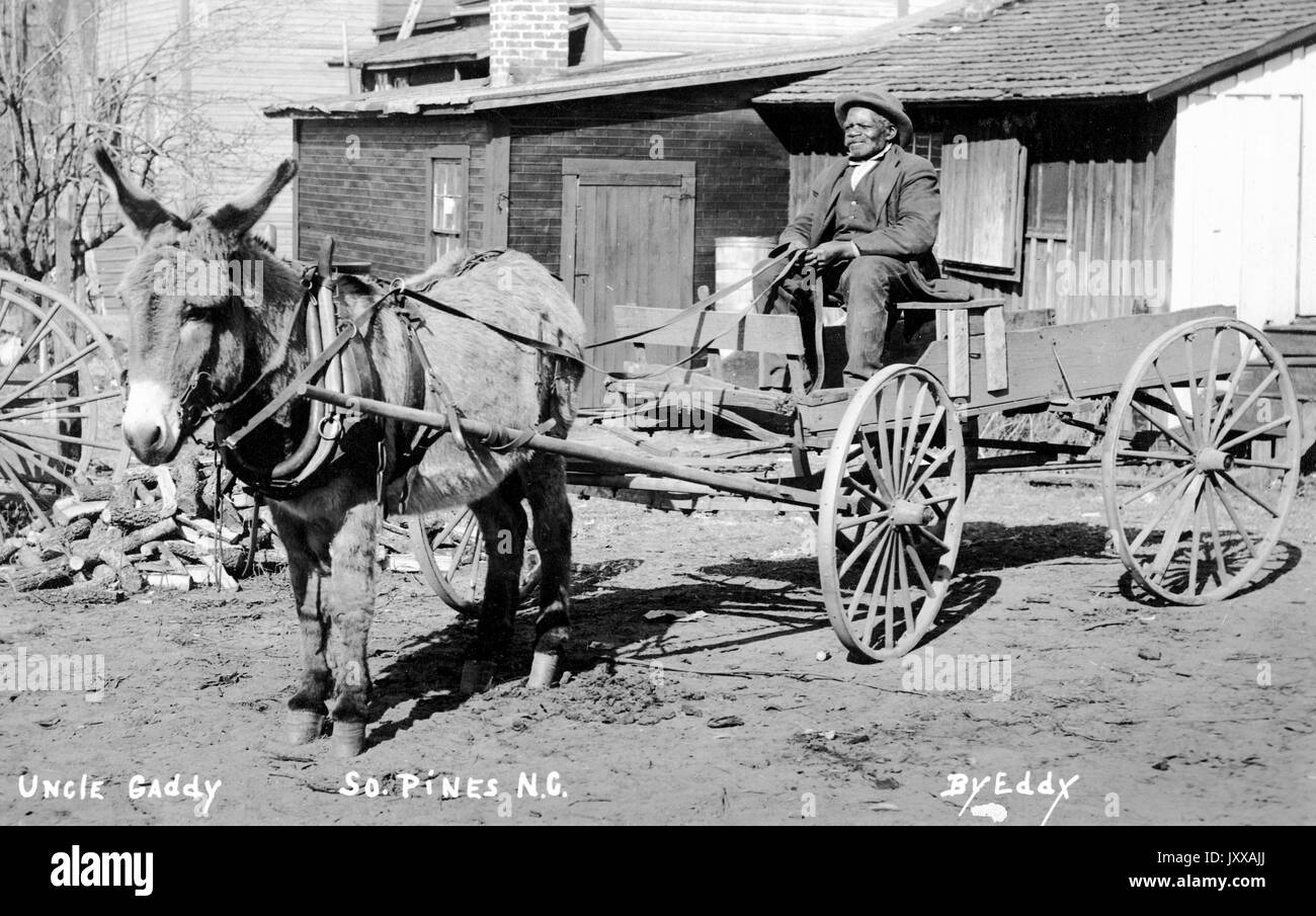 Portrait assis sur toute la longueur d'un homme afro-américain âgé assis en chariot porté par mule, portant une veste sombre, une veste foncée, un pantalon foncé et un chapeau, assis devant les cabines et du bois haché sur la terre, expression neutre, 1915. Banque D'Images
