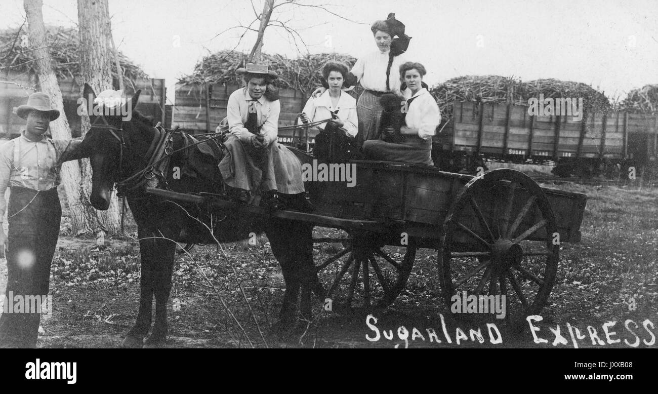 Jeune Afro-américain debout à côté d'un chariot de transport de cheval pour  canne à sucre avec quatre jeunes femmes blanches, Africain américain  portant un pantalon foncé, chemise à bouton clair, chapeau et