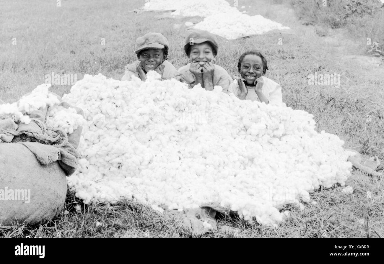 Trois enfants afro-américains portant des vêtements légers, deux casquettes, bras de repos sur la pile de coton récolté au milieu du champ, expressions souriantes, 1915. Banque D'Images
