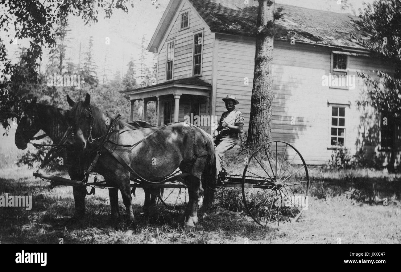 Portrait assis plein de l'homme afro-américain à cheval et buggy, portant une chemise à bouton léger, un pantalon et un chapeau, deux chevaux, assis devant la maison, expression neutre, 1920. Banque D'Images