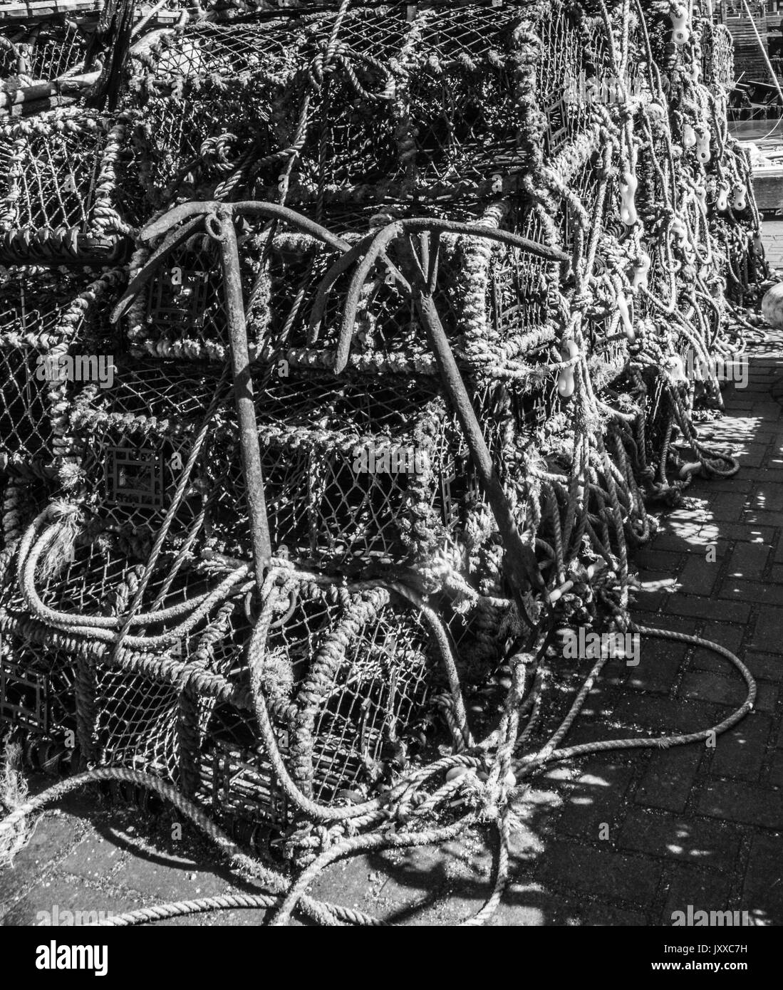 Les homards en mono Ray Boswell Banque D'Images